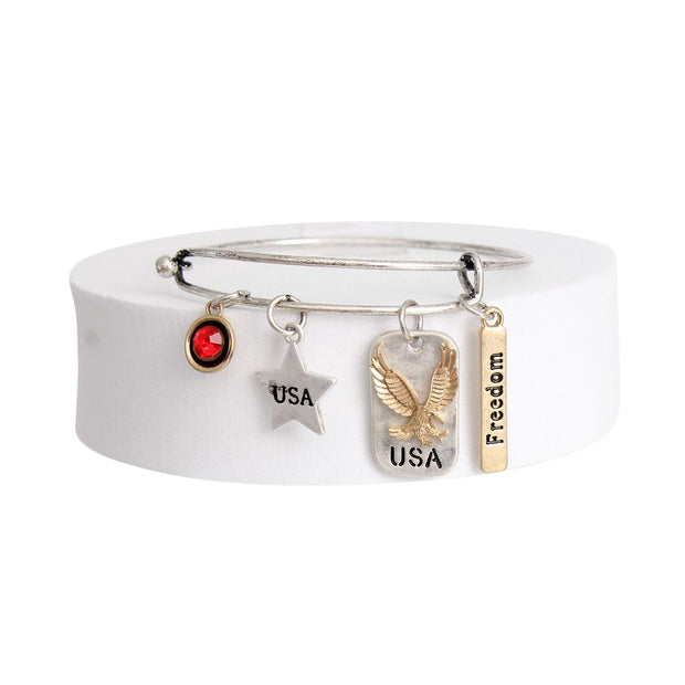 Burnished Silver American Charms Bangle