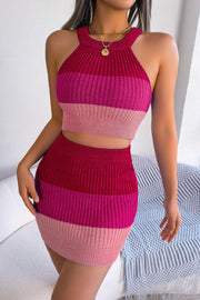 Color Block Sleeveless Crop Knit Top and Skirt Set - EJIJI Boutique